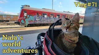 Nala cat makes it to ITALY ❤  VLOG #71