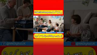 UK's Collective Passport Explained | Viral News vs Reality