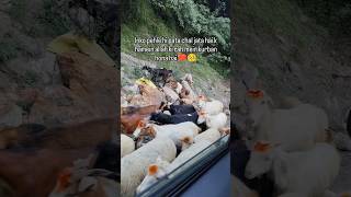Inke ankhon mai ansu hai 💔🥺#viral#bakri#eid
