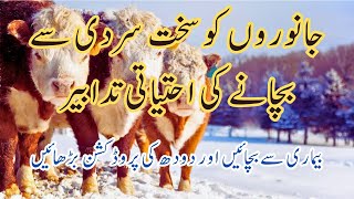 Winter Management in Animals || How To Prevent Diseases in Animals in Winter Season | Dr Noman Ali