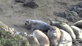 Download Lagu Histories Presents: Victor Lu MP3