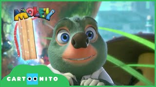 Moley Ah Moley Cartoonito Türkiye