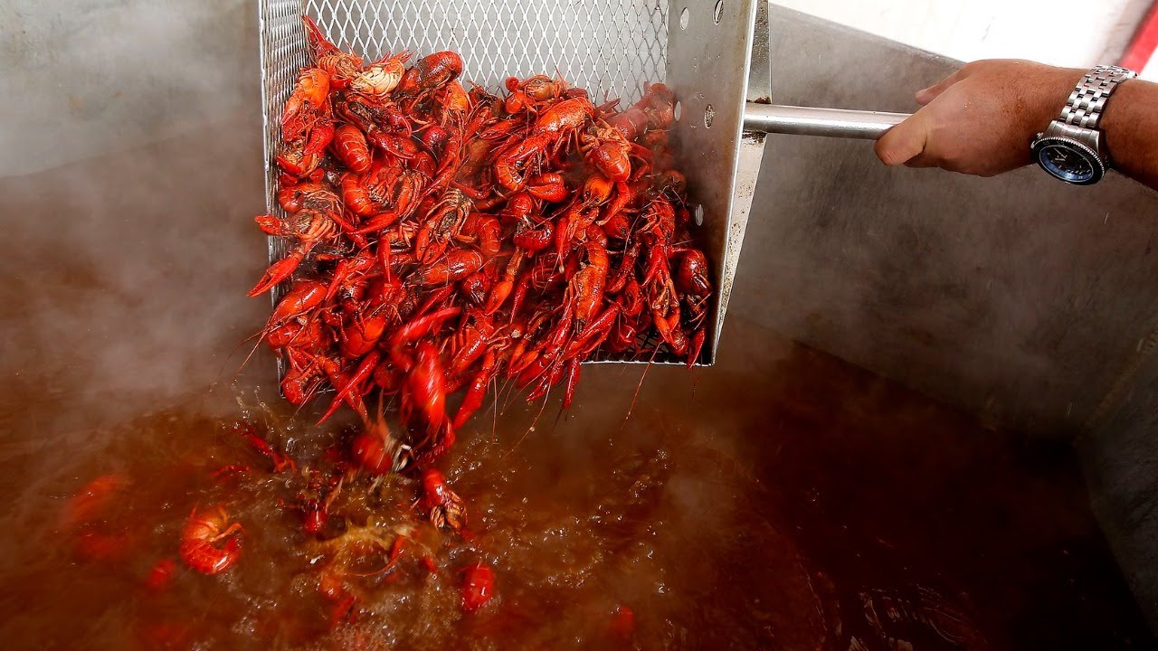 [ DFW Live ) DeSoto Crawfish Festival , 2021 YouTube