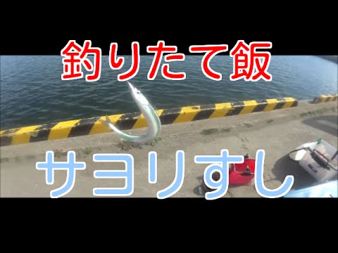 釣りたて飯 サヨリすし - YouTube