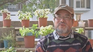 【甘願人生】預告 - 20150106 - 大港香草夢