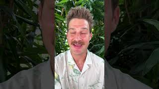 A 10 Hour Long Film About Paint Drying #funfact