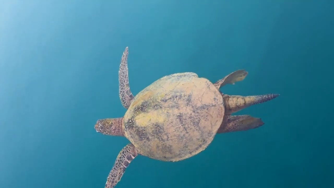 ⁣Life After 70, My Boat and I  #travel #turning70 #japan