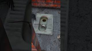 I Found India in GTA 5 🇮🇳🔥#gta5