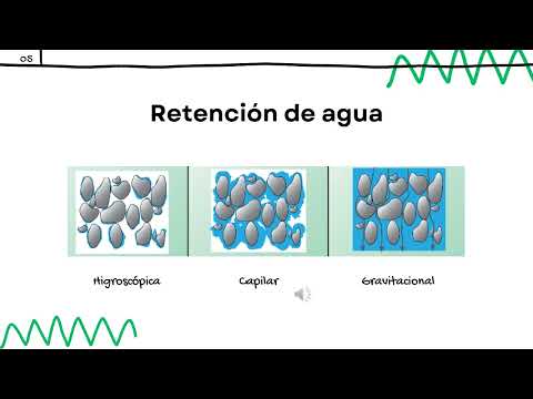 Exposición: Suelos y drenaje.