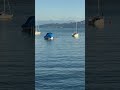 #shortsvideo #bodensee #beautifulplace #beautifulplace #summer #nature #germanytourism #travel