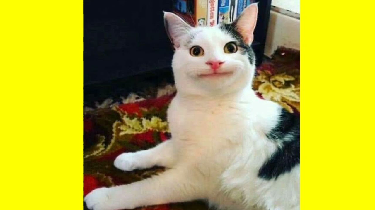 Watch Let her Go - passengers (guitar fingerstyle) on YouTube Watch Let her Go - passengers (guitar fingerstyle) on YouTube