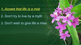 What Is Your Life?  James 4:13-17