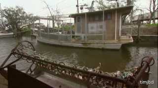The BP Civil Trial and Louisiana Oysters