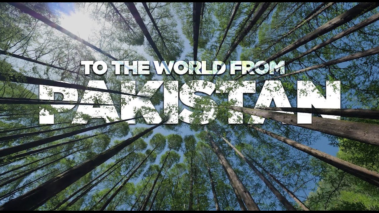 Special Documentary on World Environment Day