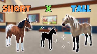Breeding SHORT Horses With TALL Horses! | Wild Horse Islands