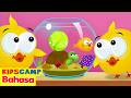 Pot Ikan & Bebek | Kartun Lucu untuk Anak-anak by HooplaKidz Bahasa Indonesia"