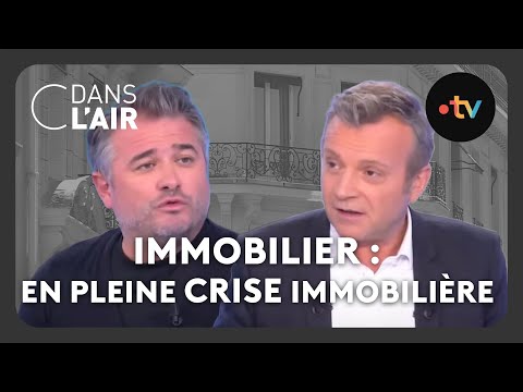 Immobilier : En pleine crise immobilière #cdanslair Archives 2023
