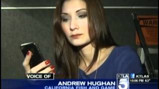 KTLA - Liberte Chan (23-04-12)
