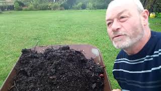 l'automne au jardin, les futurs légumes sont en boites