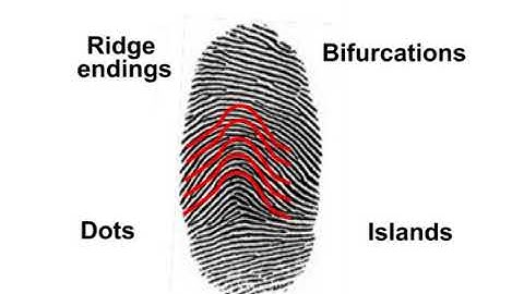 General & Individual Characterstics of finger print (CH-06)