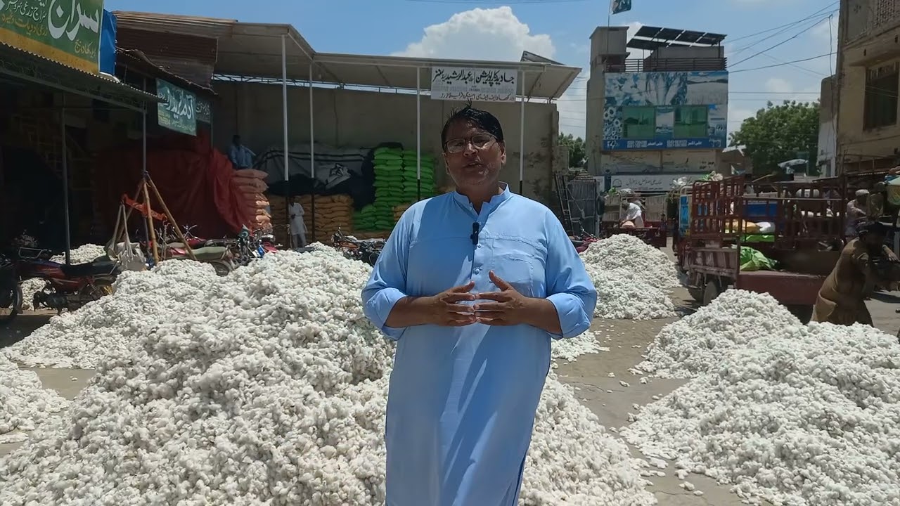 غلہ منڈی فورٹ عباس میں زرعی اجناس کے ریٹ جانئیے محمد عمران کے ساتھ 16/08/2025