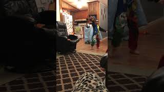 IMG 6503