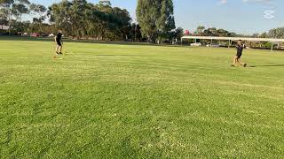 2 Cone Agility Kick - 45deg version