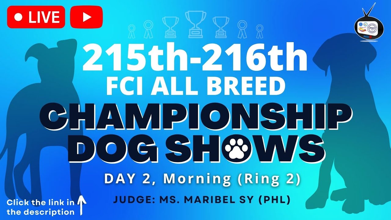 215th216 FCI All Breed Championship Dog Shows YouTube