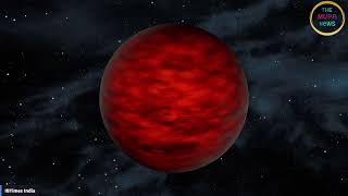 Astronomers Discover Rare Quadruple Star System with Brown Dwarfs  UPM J1040−3551