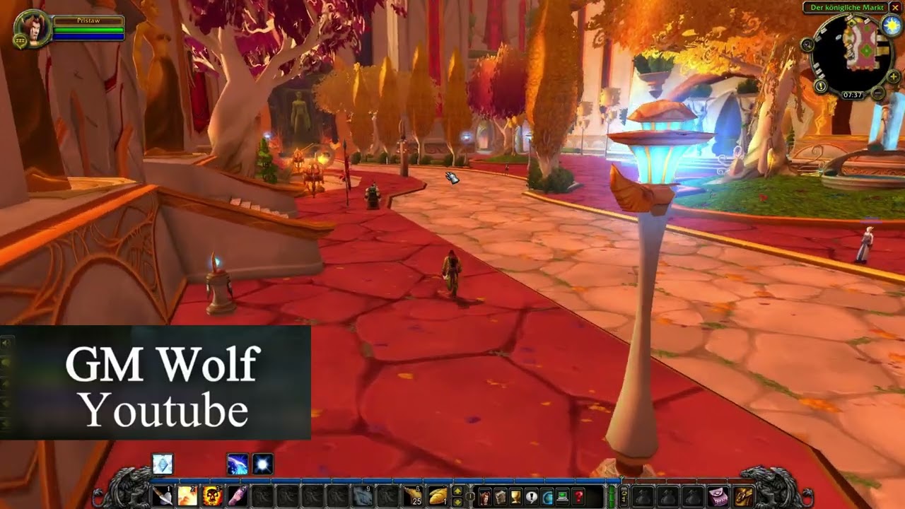Blutelf Priester Dolch tragen lernen | Blood Elf Priest Learn to Use Daggers | WoW Classic TBC