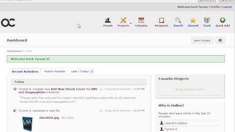 How To Manage Outsourced Work - Active Collab Project Management System Review