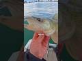 I Caught a Fish on the Lure He Made 🐟🎣