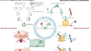06 - Safety Engineering Slide Show