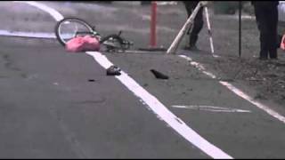 Police: Driver was distracted by her dog when she hit cyclist