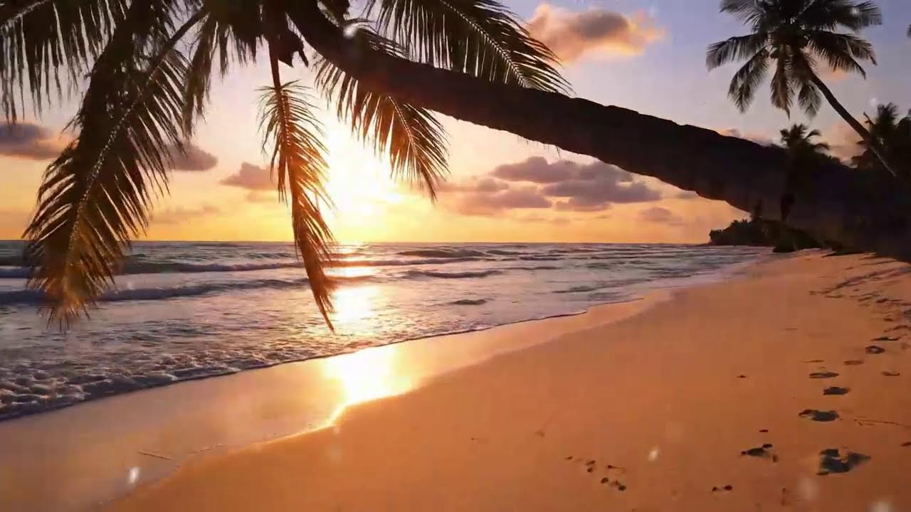 Afropop Live Mix – Modern African Hits for Chill & Party