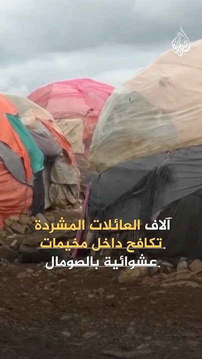        
 - نشر قبل 6 دقيقة