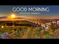 Morning Relaxing Music - Positive Feelings and Energy - Peaceful Piano Music With Birds Singing
