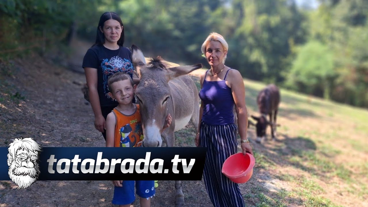 Brat i sestra odrastaju u štali: Muhamed svako jutro čisti i hrani konje