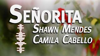 Shawn Mendes & Camila Cabello -  Señorita (Lyrics)