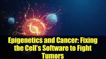 Epigenetics and Cancer: Fixing the Cell’s Software to Fight Tumors