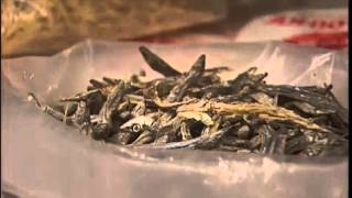 ☛☛ Jackie Chan's Hong Kong (Documentary) ☚☚