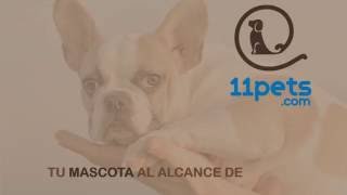 11Pets: Cuida tu mascota screenshot 1