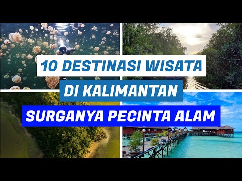 Video: Waktu Terbaik Mengunjungi Kalimantan