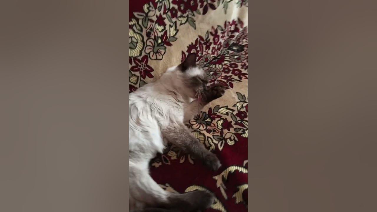Чистюля☺ - YouTube