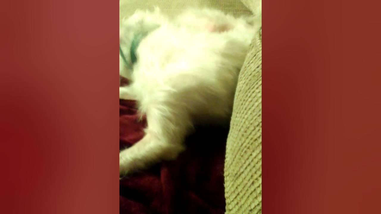 Fake choking challenge YouTube