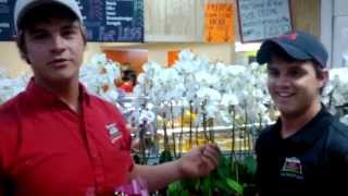 Mother's Day Flowers at Detwilers Farm Market