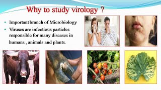 Introduction to Virology