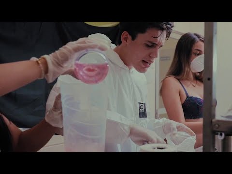 El cocinero - Diferente Nivel