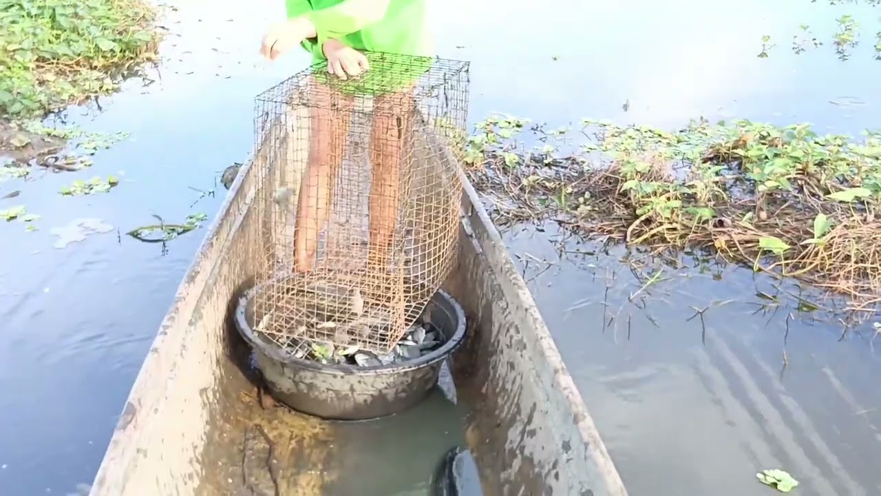 EP,55 pag pandaw ng screen shout-out mana mga idol🐟🌾