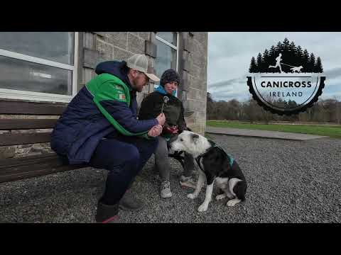 Canicross chat with Brigid